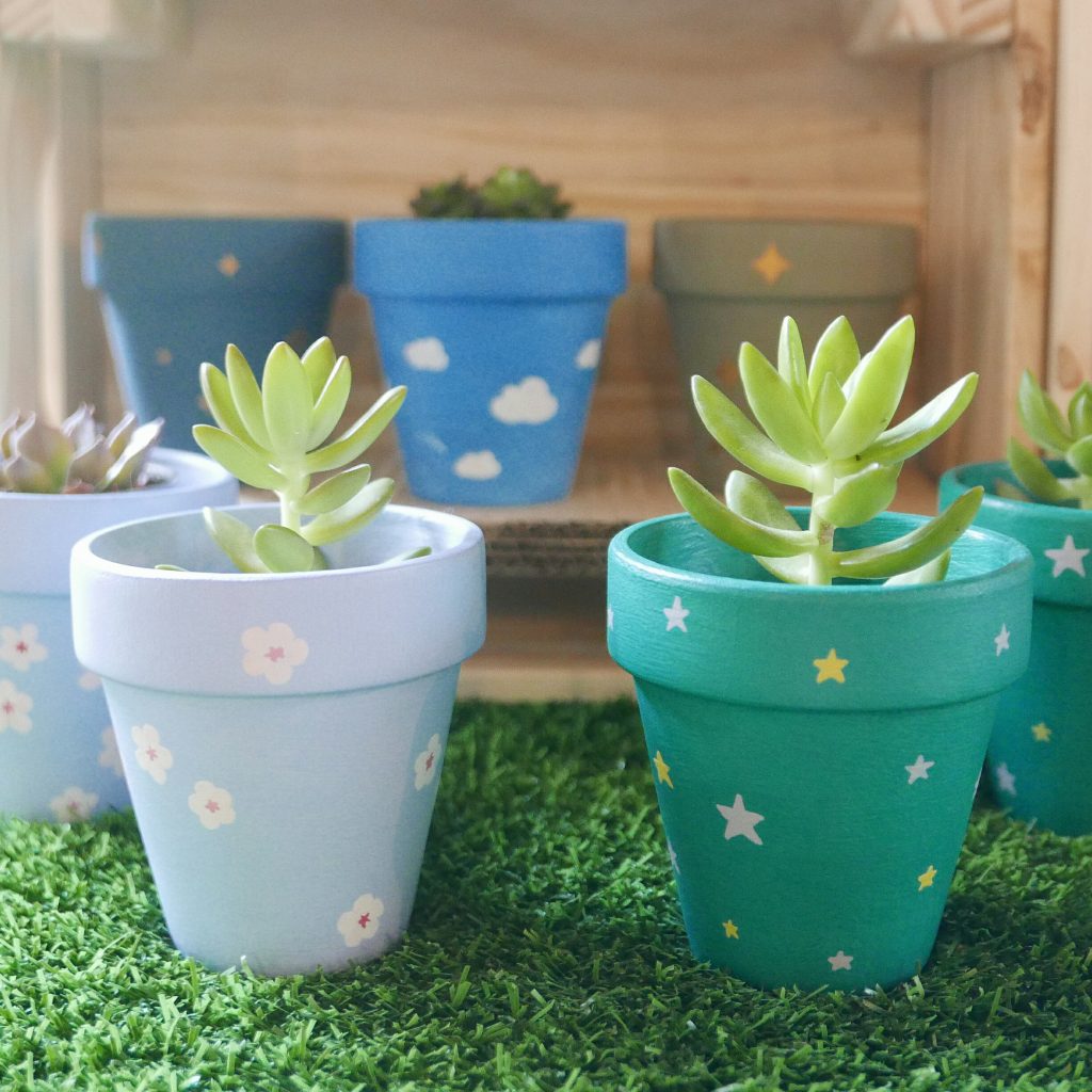 Two small succulents in Hanami and Josan pots