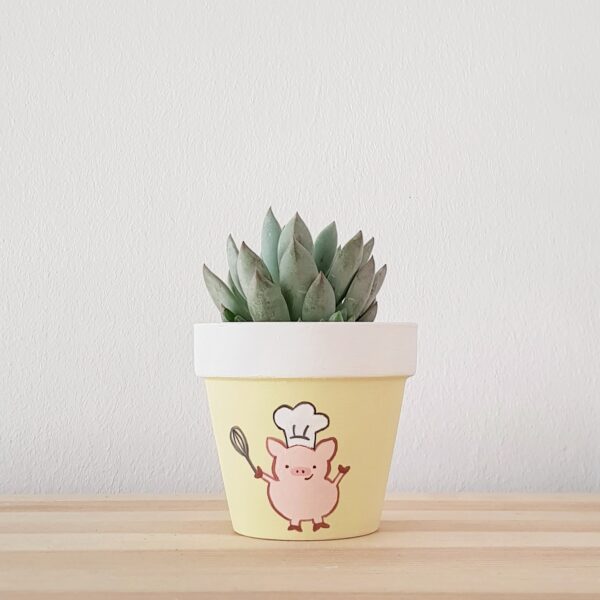 Peckish Pig Pot with succulent