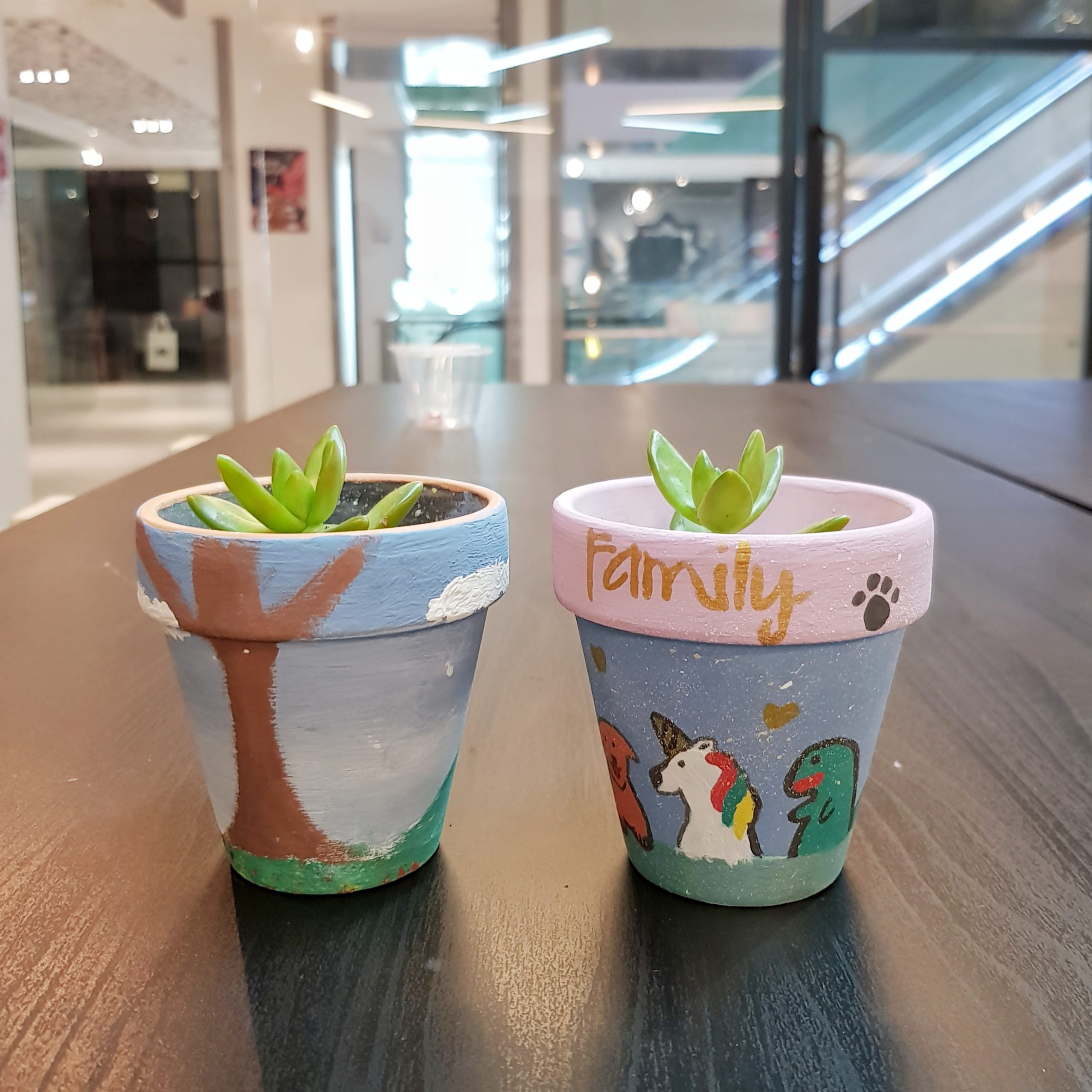 Cute animal pots
