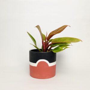 Aero Midnight & Orange Plant Pot